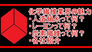 化学繊維業界の魅力【東レ・帝人・東洋紡・ユニチカ】 [upl. by Ahsim]