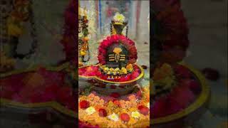 Lord shiv 🙏✨ Shiva will change your life song hindugodviralshort yoitubeshorts [upl. by Eybba29]