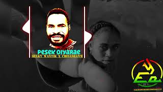 Wamena Wisisi Fersi Pesek Oiyarae Mix 2023 [upl. by Ferrigno]