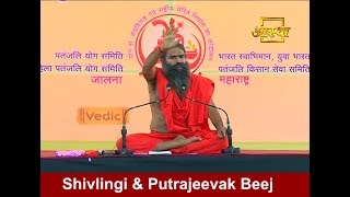 Benefits of Shivlingi amp Putrajeevak Beej [upl. by Htaeh]