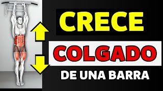 🔥 ¿Ayuda a crecer 10 BENEFICIOS mas RAROS al COLGARSE de una BARRA por Todos Los Dias [upl. by Aruol]