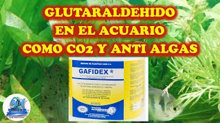 GLUTARALDEIDO EN EL ACUARIO COMO CO2 PARA LAS PLANTAS Y ANTIALGAS [upl. by Ladnyc]