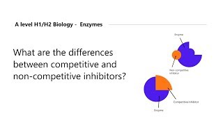 H2 Biology Tuition  H1 Biology Tuition  Competitive Inhibitors vs Noncompetitive Inhibitors [upl. by Aelegna]