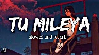 tu mileya lofi song  slowed reverb love lofi songs lx lofi [upl. by Hamforrd860]