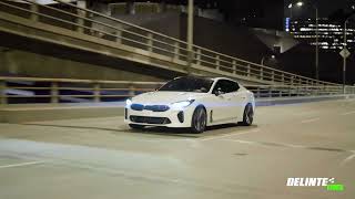 Delinte D7 Tire  Kia Stinger GT  senturytires delintetires tires [upl. by Aramad652]