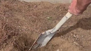 Lawndale homeowner finds shallow grave in backyard [upl. by Eedissac796]