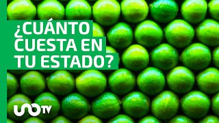 Precio del limón en México ¿en dónde se vende más caro [upl. by Relyhs409]