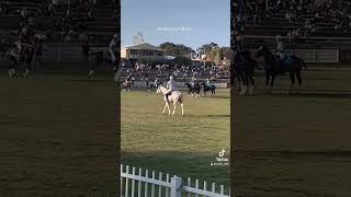 PolocrossePerth Royal Show 2128 September2024Western Australia [upl. by Dnana]