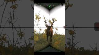 How does Dear Call work  Cabelas Big Game Hunter Pro Hunts 2014  shorts viral hunting [upl. by Des]