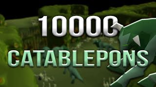 Loot From 10000 Catablepons [upl. by Jecho]