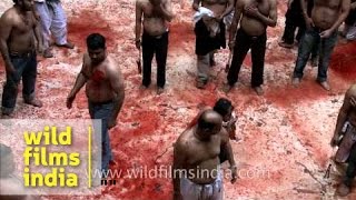 Self flagellation and bloodshed on Muharram in India [upl. by Hild]