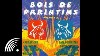 Fafá de Belém  Vermelho  Bois de Parintins vol2  Oficial [upl. by Doreg]