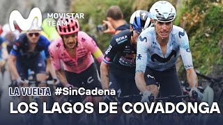 SinCadena Lucha entre los Favoritos de La Vuelta en los Lagos de Covadonga  Movistar Team 2024 [upl. by Enilrem]