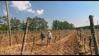 Orvieto Italy FamilyRun Winery  Rick Steves’ Europe Travel Guide  Travel Bite [upl. by Alliehs]