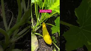 From farm to farmacy  Akron Childrens video [upl. by Madeline254]