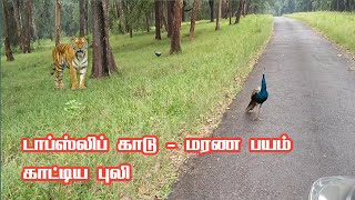 Tiger Attack in Topslip Forest  Pollachi to Topslip Thrill Ride in Tamil  Jolly Trip [upl. by Ahgiel568]