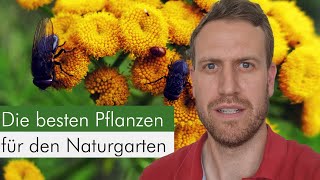 Diese 5 InsektenPflanzen dürfen in deinem Garten nicht fehlen Für Gartenboden sonnig trocken [upl. by Toile]