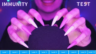 Asmr Testing Your Tingle Immunity Levels  Intense Trigger Warning  Asmr No Talking for Sleep [upl. by Illom]