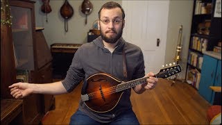 Beginner Mandolin Lessons Series Part One Technique [upl. by Lerrud]