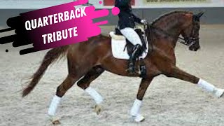 Quaterback Elite Dressage Stallion Tribute 2003  2021 [upl. by Cirda]