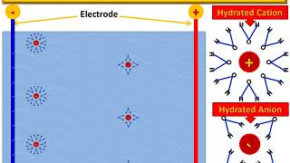 Electrophoretic Effect [upl. by Einneg]