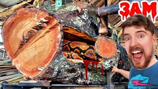 DIY Challenge Create a Homemade Sawmill for Sawing 10 Meter Wadang Beams [upl. by Malek]