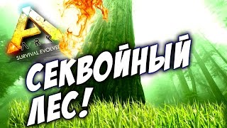 ARK Survival Evolved  СЕКВОЙНЫЙ ЛЕС ЭПИК [upl. by Leroj774]