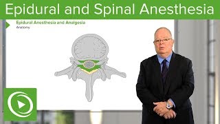 Neuraxial Blocks Epidural and Spinal Anesthesia amp Analgesia – Anesthesia  Lecturio [upl. by Lune641]