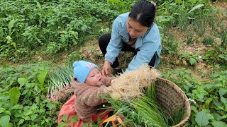 A single mother and her son pick onions to sell and clean the house [upl. by Arremat166]