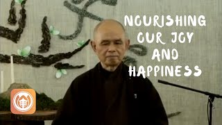 Nourishing Our Joy amp Happiness  Thich Nhat Hanh short teaching video [upl. by Osnofledi887]