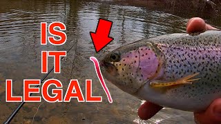 PA Trout Fishing 2024 Is It ILLEGAL Big FISH [upl. by Annaxor]