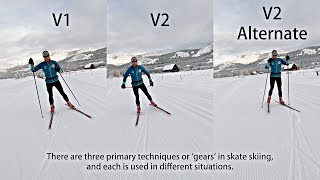 Three Basic Skate Ski Techniques Explained [upl. by Nnylekoorb521]