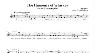 Hozier  The Humours of Whiskey a cappella  Transcription [upl. by Mainis]