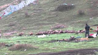 sky burial ceremony in tibet [upl. by Urbas]