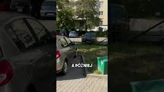 szukamy BMW E36 Ale był długi bieg… running bieganie bmw bmwe36 [upl. by Aidnyc]