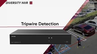 Diversity NVR  Tripwire Detection [upl. by Vickey855]