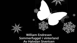 William Endresen quotSommerfuggel i vinterlandquot [upl. by Langbehn]