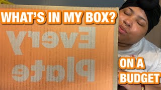 EVERY PLATE BOX REVIEW 2024  What’s In My Box [upl. by Etnovahs]