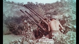 Original color footage of 2cm Flak 38 and Flakvierling 38 in action in Italy circa 1944 [upl. by Aicelef]