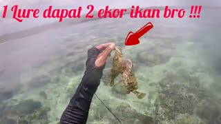 MV31 Ultralight Fishing  Saking banyaknya ikan 1 lure dapat 2 ekor ikan  sinking in action [upl. by Noakes877]