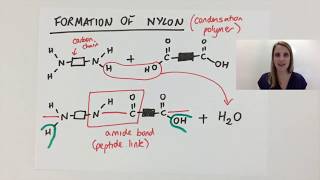 Simple Condensation polymerisation polymer explained using nylon GCSE [upl. by Klinger]