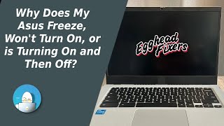 Why Does My Asus Freeze Wont Turn On or is Turning On and Then Off For Windows 11 Laptops [upl. by Ob]