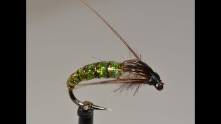 The Serial Killer Caddis pupa [upl. by Gorrono]