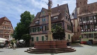 Foraging Beautiful Medieval Town of Ladenburg  Germany [upl. by Afra]