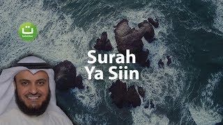 Surah YASIN Merdu dan Menyejukkan  Mishari Rasyid AlAfasy  Tadabbur Daily [upl. by Goodkin]