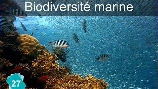 CARTE 27 Biodiversité marine [upl. by Elocin]