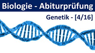 Biologie Abiturprüfung 2024  Aufgaben Genetik 22  Abitur Biologie 416 [upl. by Aicatsue]