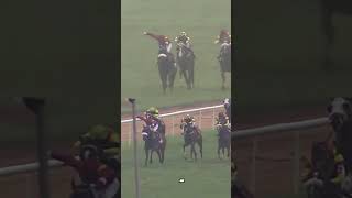 Ranquelino wins Bangalore 2000 Guineas Gr2 [upl. by Enohsal]