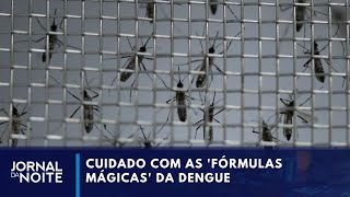 Dengue aumento de casos da doença faz redobrar atenção com fake news  Jornal da Noite [upl. by Ylicic]