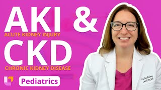 Acute Kidney Injury AKI amp Chronic Kidney Disease CKD  Pediatric Nursing  LevelUpRN [upl. by Coffey]